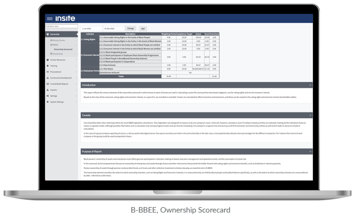 Insite B-BBEE, Ownership Scorecard